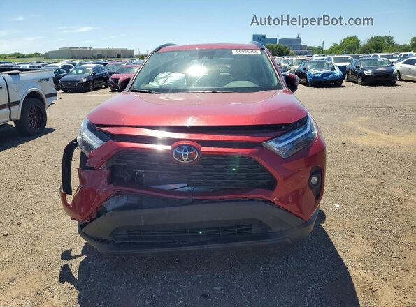 2T3C1RFV4SW376877 2025 TOYOTA RAV4 Бордовый Вид спереди