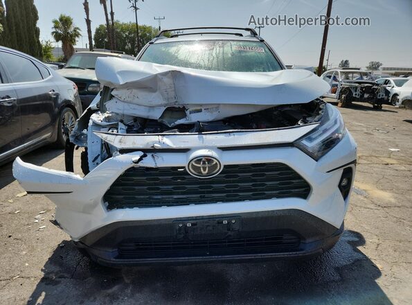 2T3C1RFV5PW251703 2023 TOYOTA RAV4 White 