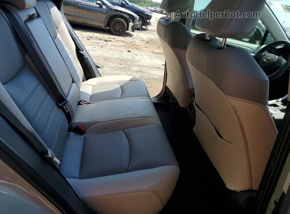 2T3C1RFV5PW282367 2023 TOYOTA RAV4 Green 