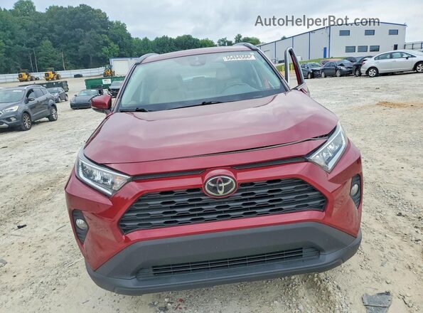 2T3C1RFV8MW124505 2021 TOYOTA RAV4 Burgundy 