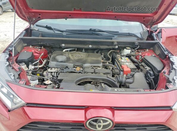 2T3C1RFV8MW124505 2021 TOYOTA RAV4 Burgundy 
