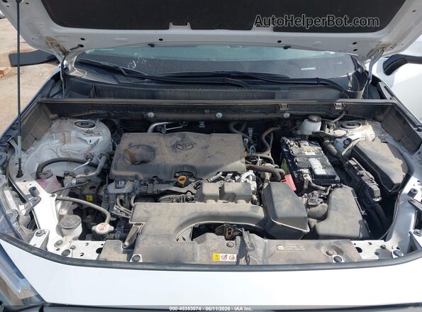 2T3C1RFV9RW301666 2024 TOYOTA RAV4 Белый Вид сзади