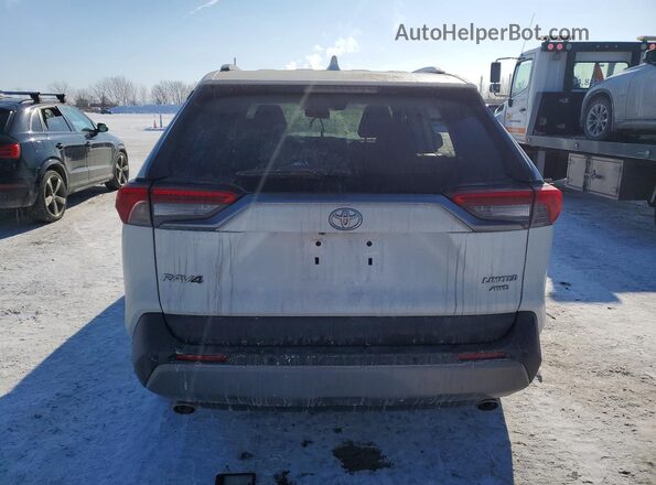 2T3D1RFV7KW003059 2019 TOYOTA RAV4 White უკანა ხედი