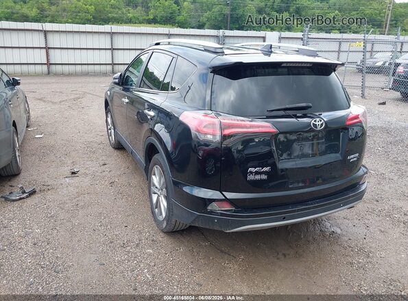 2T3DFREV0HW619391 2017 TOYOTA RAV4 Black Հետևի ձախ
