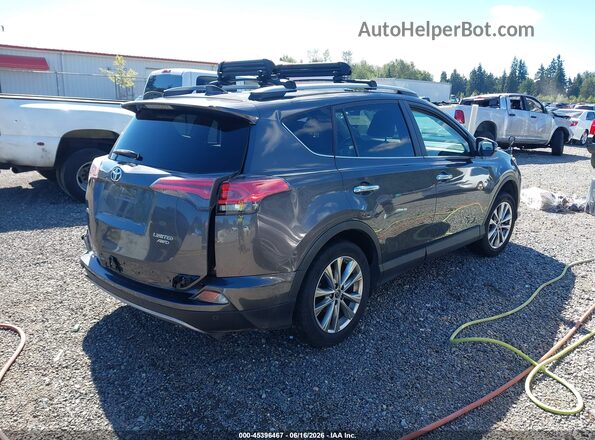 2T3DFREV1HW562957 2017 TOYOTA RAV4 Gray Задня права чверть
