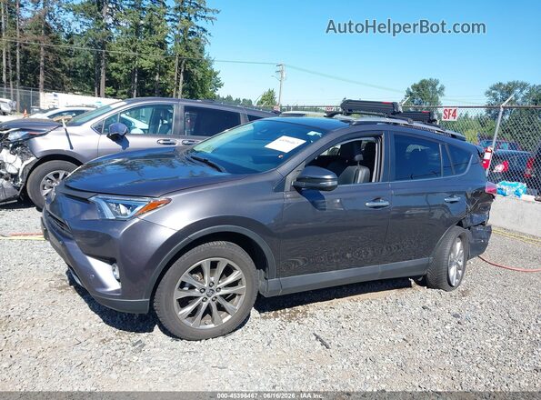 2T3DFREV1HW562957 2017 TOYOTA RAV4 Gray Панорамний вид салону 360°