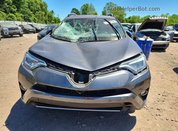 2T3DFREV2HW542989 2017 TOYOTA RAV4 Charcoal Դիմացի տեսք