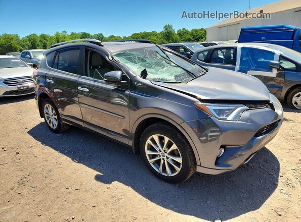 2T3DFREV2HW542989 2017 TOYOTA RAV4 Charcoal Առջևի աջ