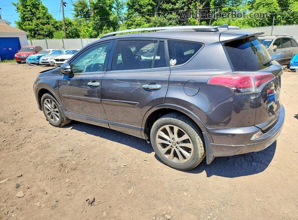 2T3DFREV2HW542989 2017 TOYOTA RAV4 Charcoal Հետևի ձախ