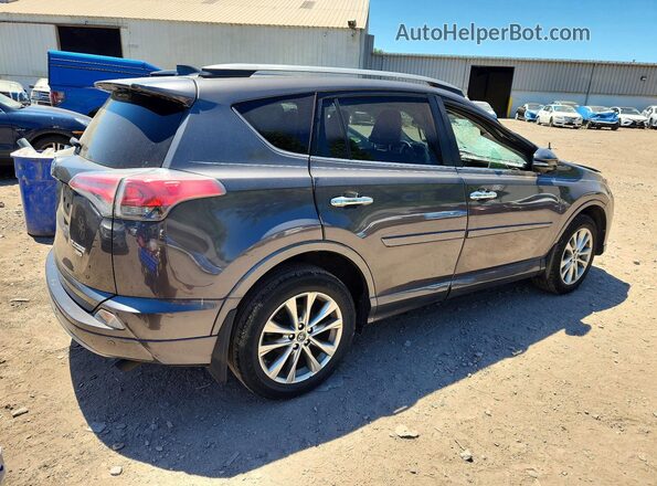 2T3DFREV2HW542989 2017 TOYOTA RAV4 Charcoal Հետևի աջ