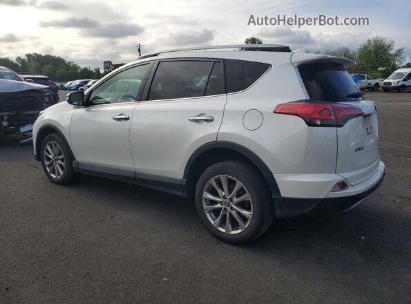 2T3DFREV2HW558769 2017 TOYOTA RAV4 White Rear left