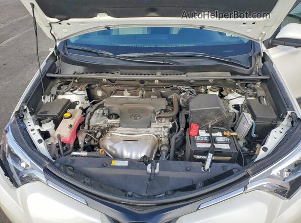 2T3DFREV2HW558769 2017 TOYOTA RAV4 White Rear interior view