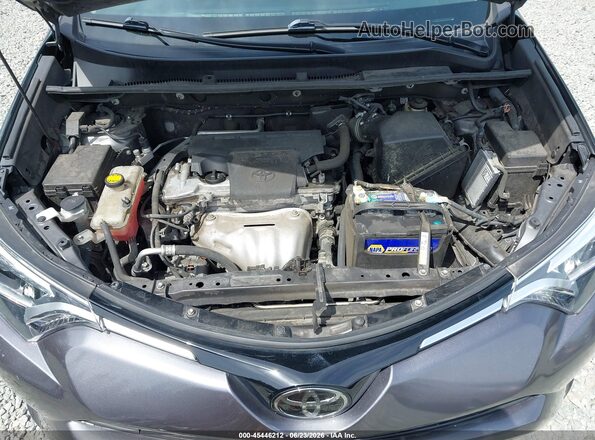 2T3DFREV5HW602232 2017 TOYOTA RAV4 Gray Vista trasera