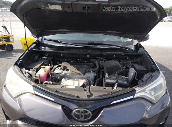 2T3DFREV5HW681014 2017 TOYOTA RAV4 Gray Вид ззаду