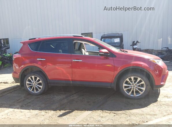 2T3DFREV6HW666036 2017 TOYOTA RAV4 Red Սալոնի հետևի տեսք