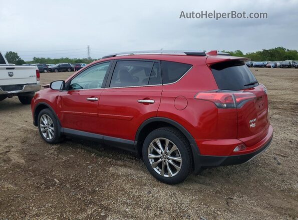2T3DFREV8HW576841 2017 TOYOTA RAV4 Red Tył lewy