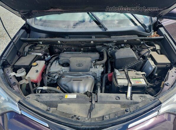 2T3DFREV9JW795197 2018 TOYOTA RAV4 Purple 