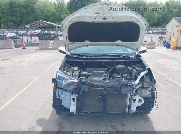 2T3DFREVXGW428494 2016 TOYOTA RAV4 White Vista trasera