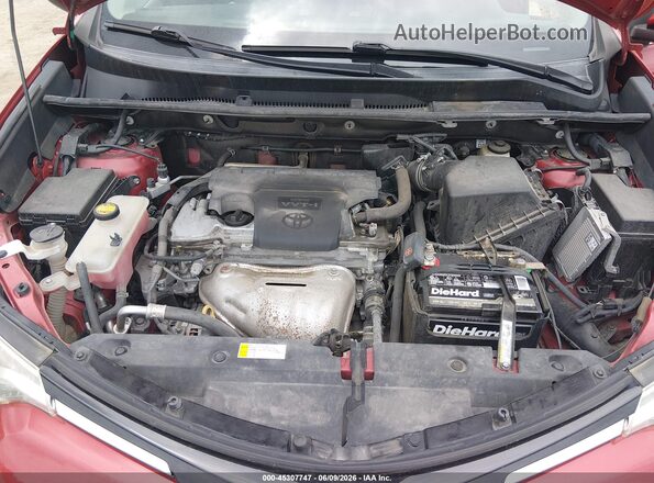 2T3DFREVXGW501444 2016 TOYOTA RAV4 Red Widok z tyłu