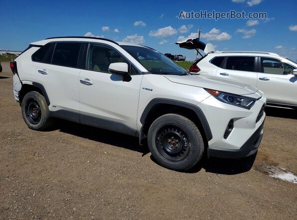 2T3DWRFV0KW034428 2019 TOYOTA RAV4 White წინა მარჯვენა