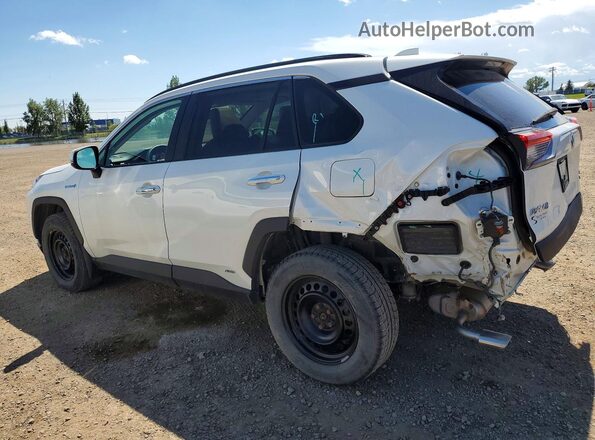 2T3DWRFV0KW034428 2019 TOYOTA RAV4 White უკანა მარცხენა