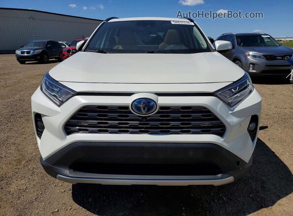 2T3DWRFV0KW034428 2019 TOYOTA RAV4 White წინა ხედი