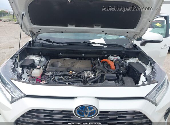 2T3DWRFV6LW061456 2020 TOYOTA RAV4 HYBRID Белый Вид сзади