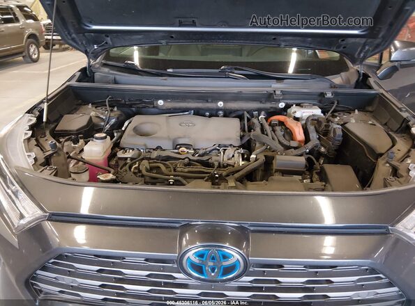 2T3DWRFVXKW031567 2019 TOYOTA RAV4 HYBRID Серый Вид сзади