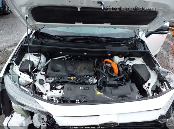 2T3E6RFV0SW088025 2025 TOYOTA RAV4 HYBRID Белый Вид сзади