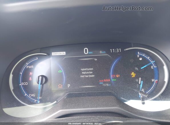 2T3E6RFV3RW075974 2024 TOYOTA RAV4 HYBRID Blue უკანა სავარძლების ხედი
