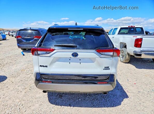 2T3E6RFV5PW046604 2023 TOYOTA RAV4 White Հետևի տեսք