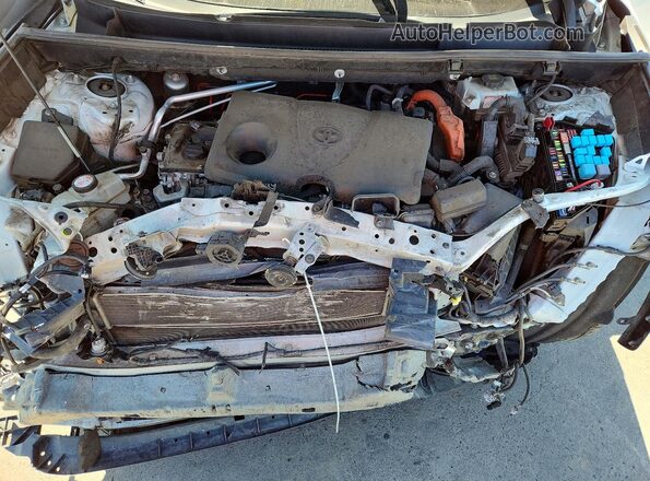 2T3EWRFV6LW055483 2020 TOYOTA RAV4 White Սալոնի հետևի տեսք