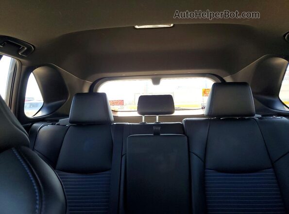 2T3EWRFVXKW015678 2019 TOYOTA RAV4 Gray Հետևի նստատեղերի տեսք