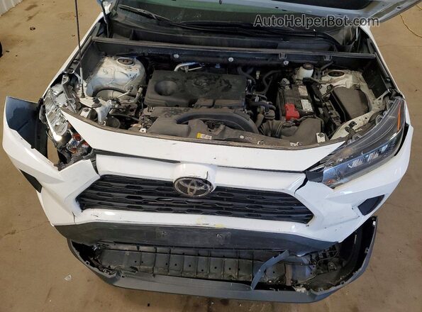 2T3F1RFV0MC163104 2021 TOYOTA RAV4 White 