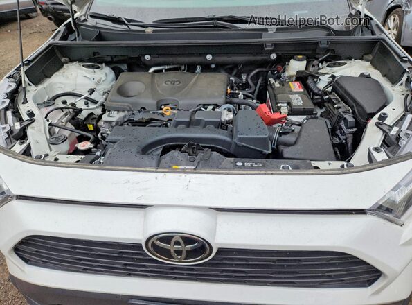 2T3F1RFV1RC402067 2024 TOYOTA RAV4 White 