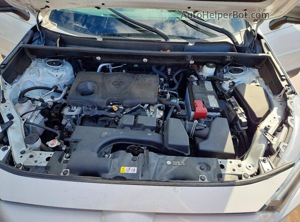 2T3F1RFV3PW347875 2023 TOYOTA RAV4 White 