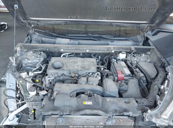 2T3F1RFV3PW357323 2023 TOYOTA RAV4 Gray 