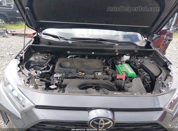 2T3F1RFV4LC096697 2020 TOYOTA RAV4 Pewter Вид ззаду