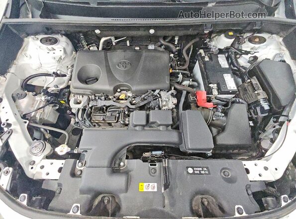 2T3F1RFV4RC425116 2024 TOYOTA RAV4 White 