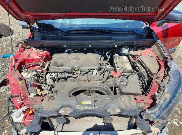 2T3F1RFV5LW096335 2020 TOYOTA RAV4 Red უკანა სალონის ხედი
