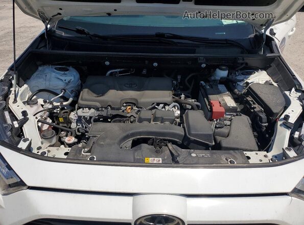 2T3F1RFV5RC460151 2024 TOYOTA RAV4 White 