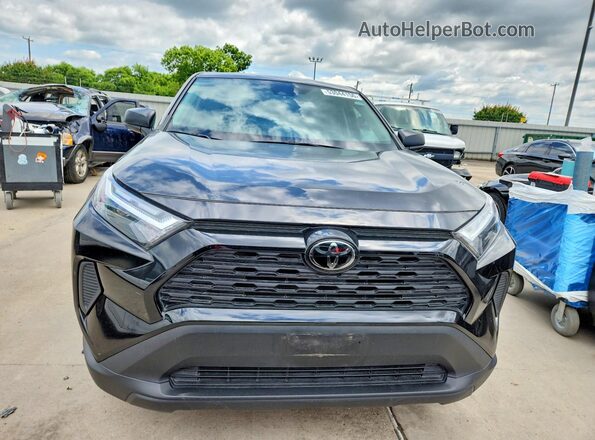 2T3F1RFV5RW449066 2024 TOYOTA RAV4 Черный 