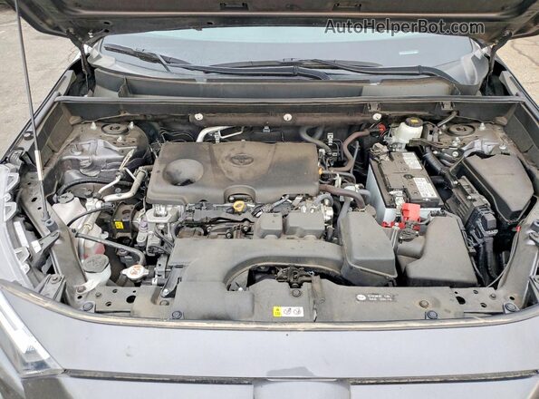 2T3F1RFV6PC359391 2023 TOYOTA RAV4 Gray 
