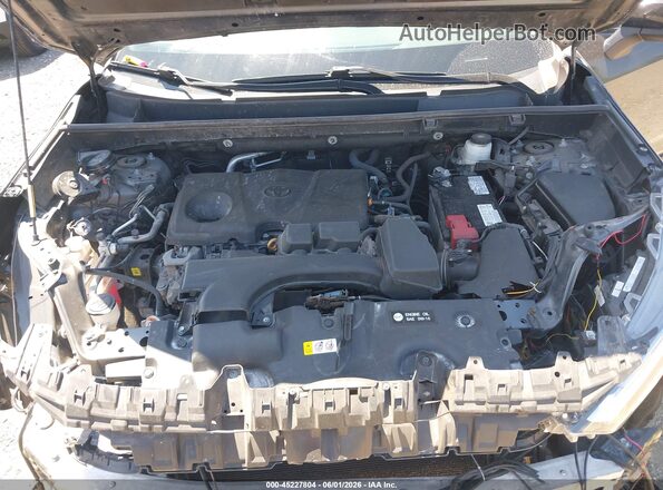 2T3F1RFV7PW332523 2023 TOYOTA RAV4 Gray Вид ззаду