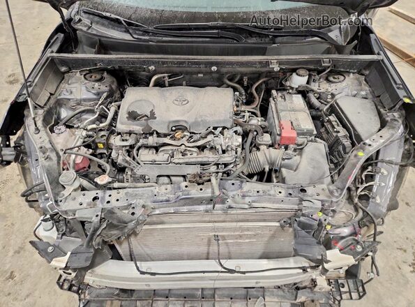2T3F1RFV8RC425524 2024 TOYOTA RAV4 Gray 
