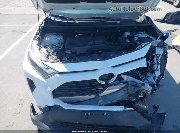 2T3F1RFV9PC359742 2023 TOYOTA RAV4 White უკანა ხედი