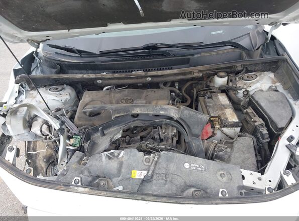 2T3F1RFVXPW338624 2023 TOYOTA RAV4 Белый Вид сзади