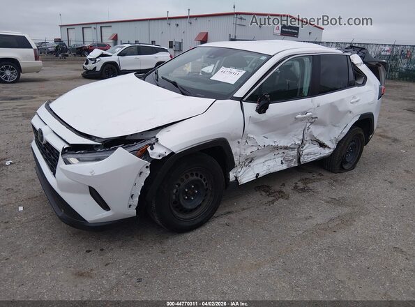 2T3G1RFV2PW347502 2023 TOYOTA RAV4 White 