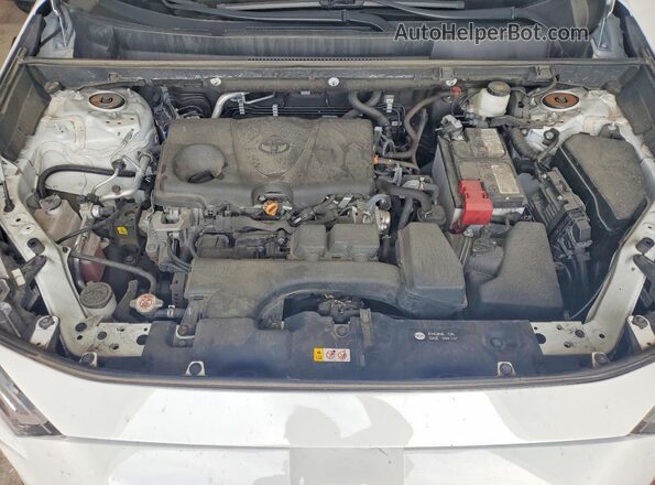 2T3G1RFV4PW332192 2023 TOYOTA RAV4 White Սալոնի հետևի տեսք