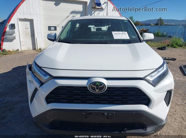 2T3G1RFV5PW337658 2023 TOYOTA RAV4 Белый Вид задней части салона